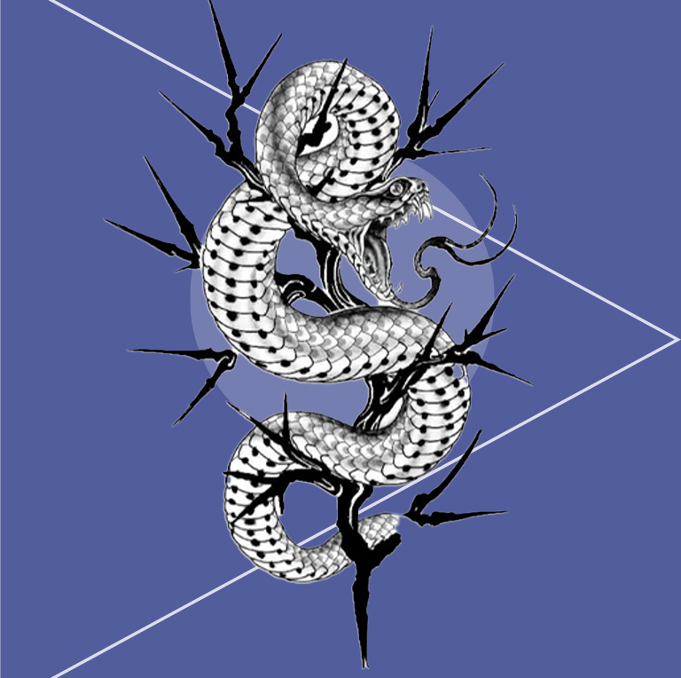 ISGMD - 